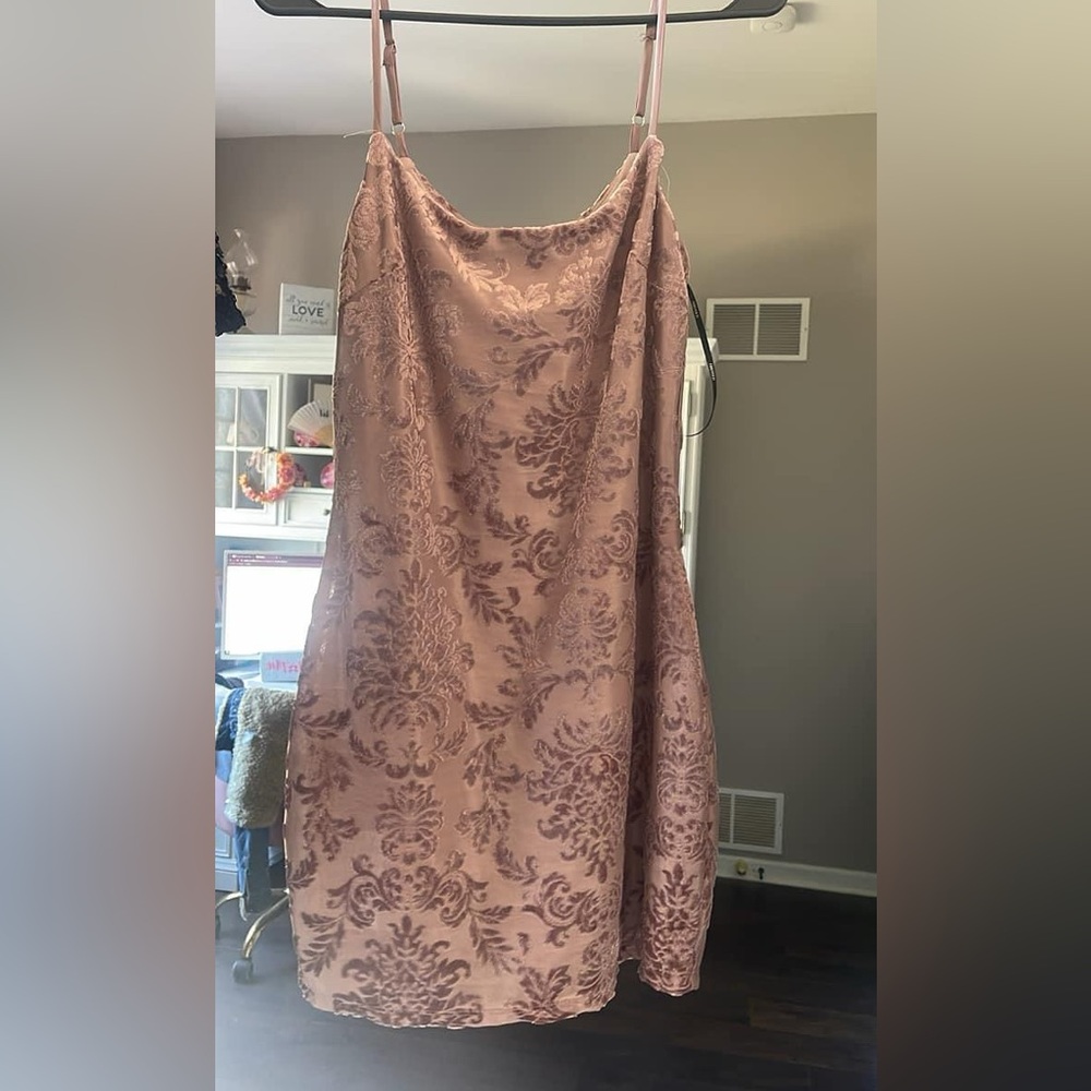 Small NWT blush dress